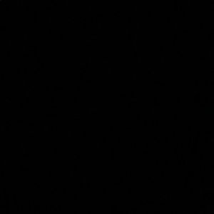 Meet your Posher, Ashlyn